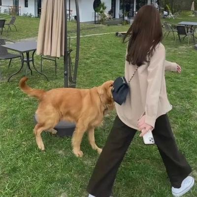爱长颈鹿的女人海报